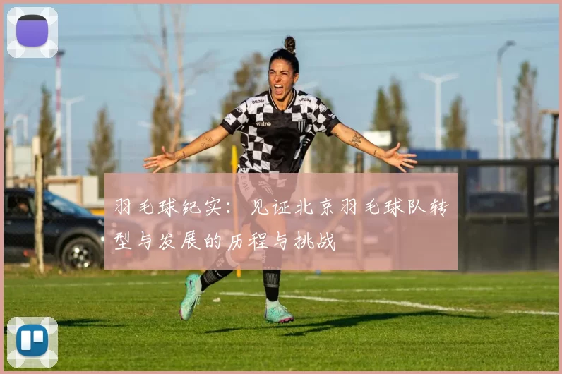 羽毛球纪实：见证北京羽毛球队转型与发展的历程与挑战