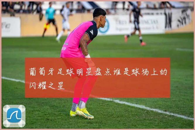 葡萄牙足球明星盘点谁是球场上的闪耀之星