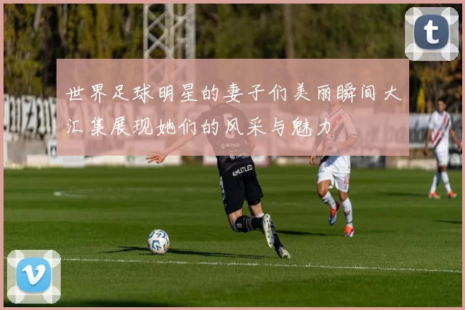 世界足球明星的妻子们美丽瞬间大汇集展现她们的风采与魅力