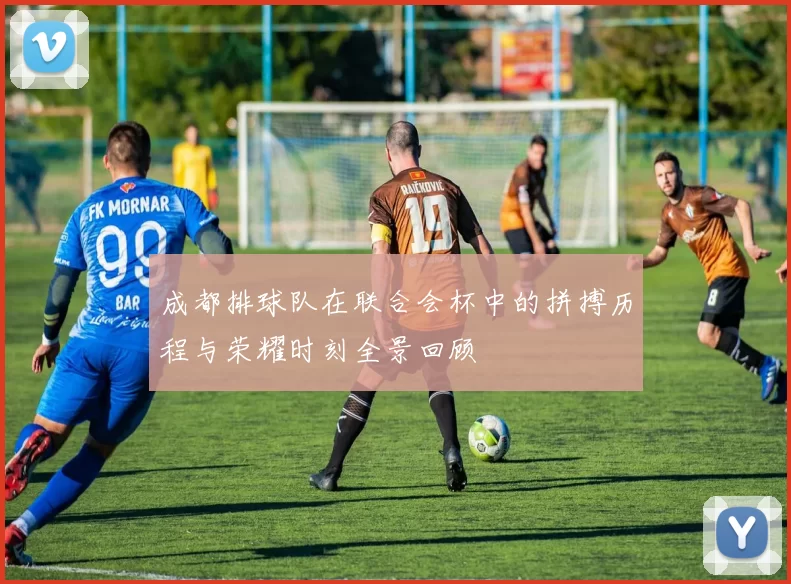 成都排球队在联合会杯中的拼搏历程与荣耀时刻全景回顾