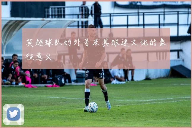 英超球队的外号及其球迷文化的象征意义