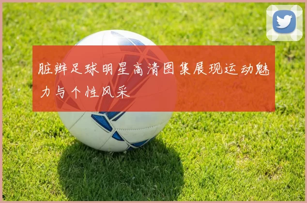 脏辫足球明星高清图集展现运动魅力与个性风采