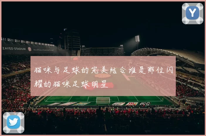 猫咪与足球的完美结合谁是那位闪耀的猫咪足球明星