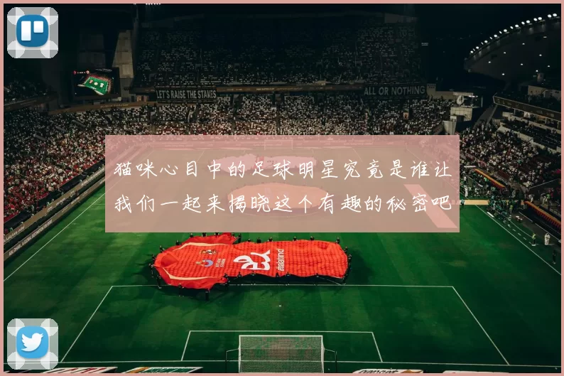 猫咪心目中的足球明星究竟是谁让我们一起来揭晓这个有趣的秘密吧