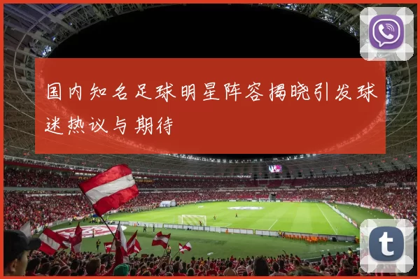国内知名足球明星阵容揭晓引发球迷热议与期待