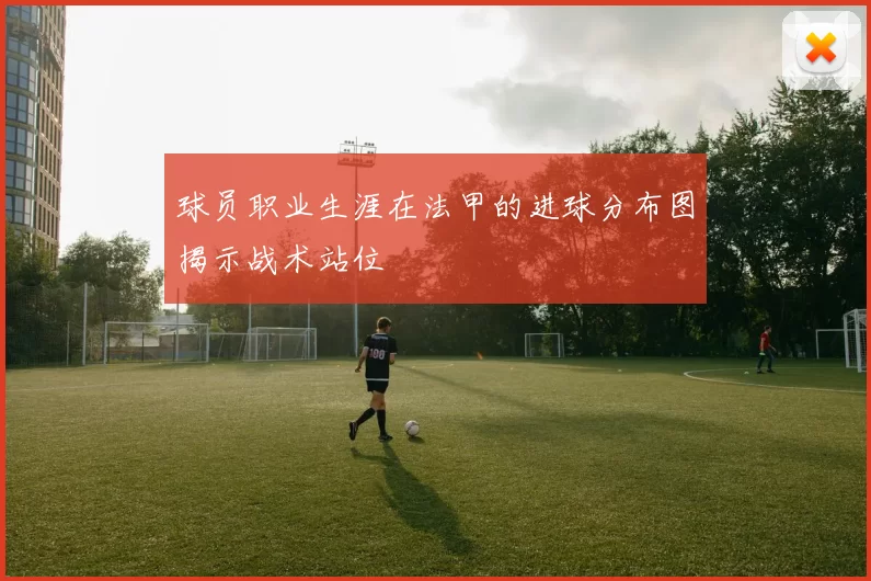 球员职业生涯在法甲的进球分布图揭示战术站位