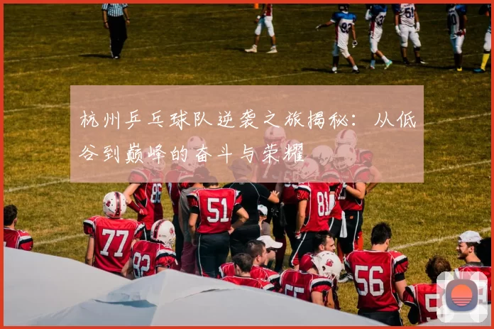 杭州乒乓球队逆袭之旅揭秘：从低谷到巅峰的奋斗与荣耀