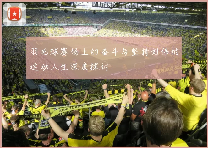 羽毛球赛场上的奋斗与坚持刘伟的运动人生深度探讨