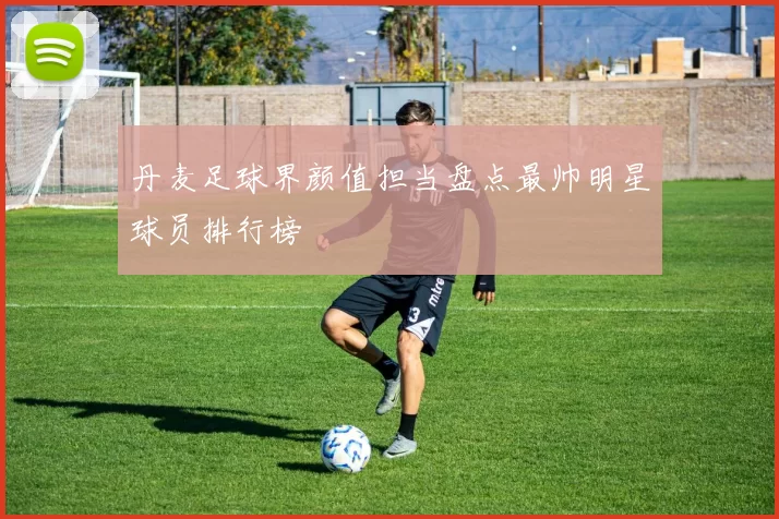 丹麦足球界颜值担当盘点最帅明星球员排行榜