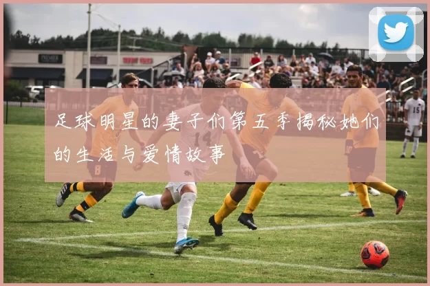 足球明星的妻子们第五季揭秘她们的生活与爱情故事