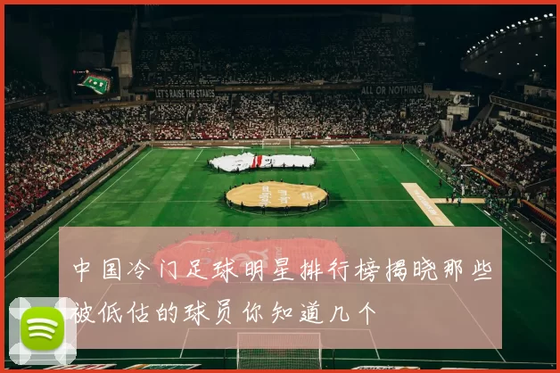 中国冷门足球明星排行榜揭晓那些被低估的球员你知道几个