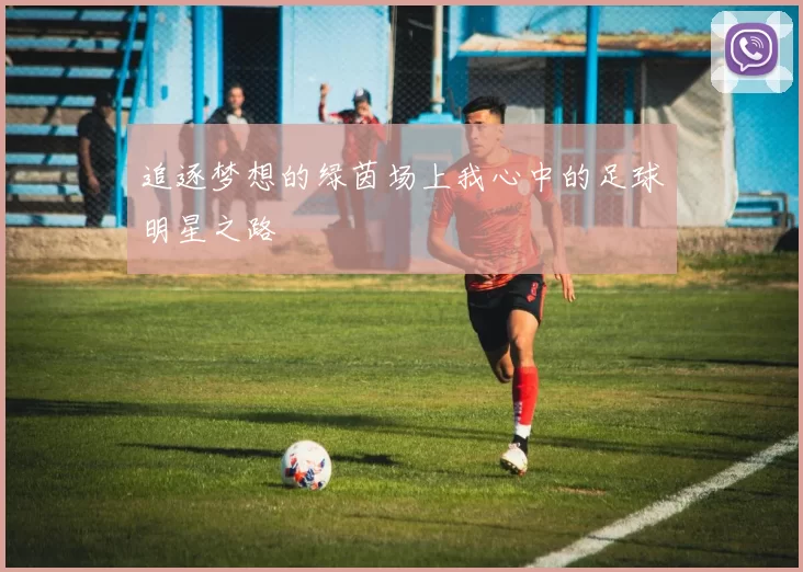追逐梦想的绿茵场上我心中的足球明星之路